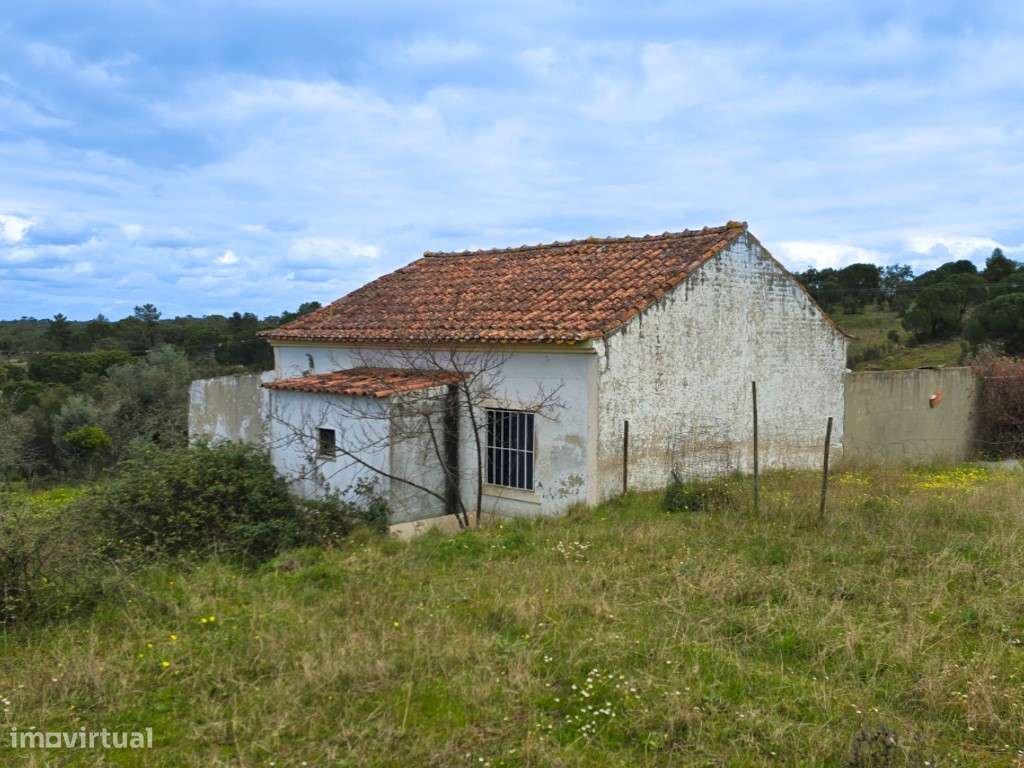 QUINTA COM 5HA DE TERRENO COM 500M2 URBANO - GALVEIAS - PONTE DE SOR-17