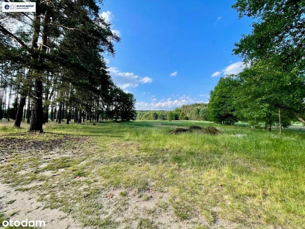 Olbrzymia Działka W Lesie Z Prawem Zabudowy!-3
