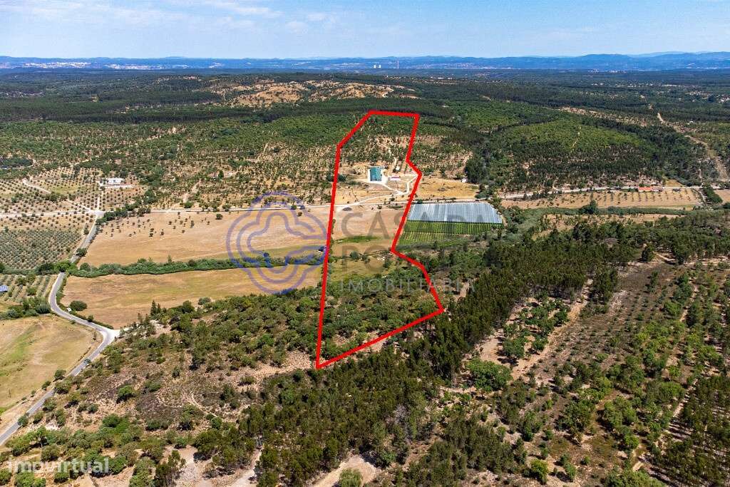 Quinta T3 com 17 ha e aviário com alta rentabilidade em Abrantes - Grande imagem: 3/54