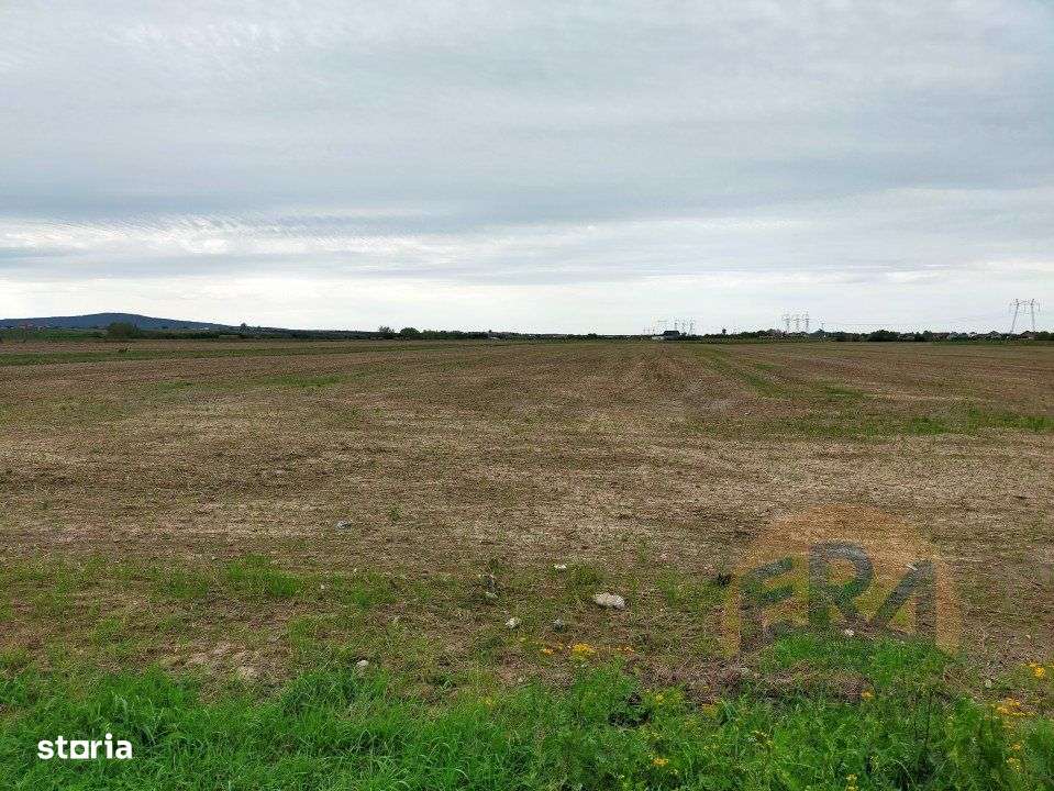 Teren Osorhei, Str. 610 - Imagine principală: 2/8