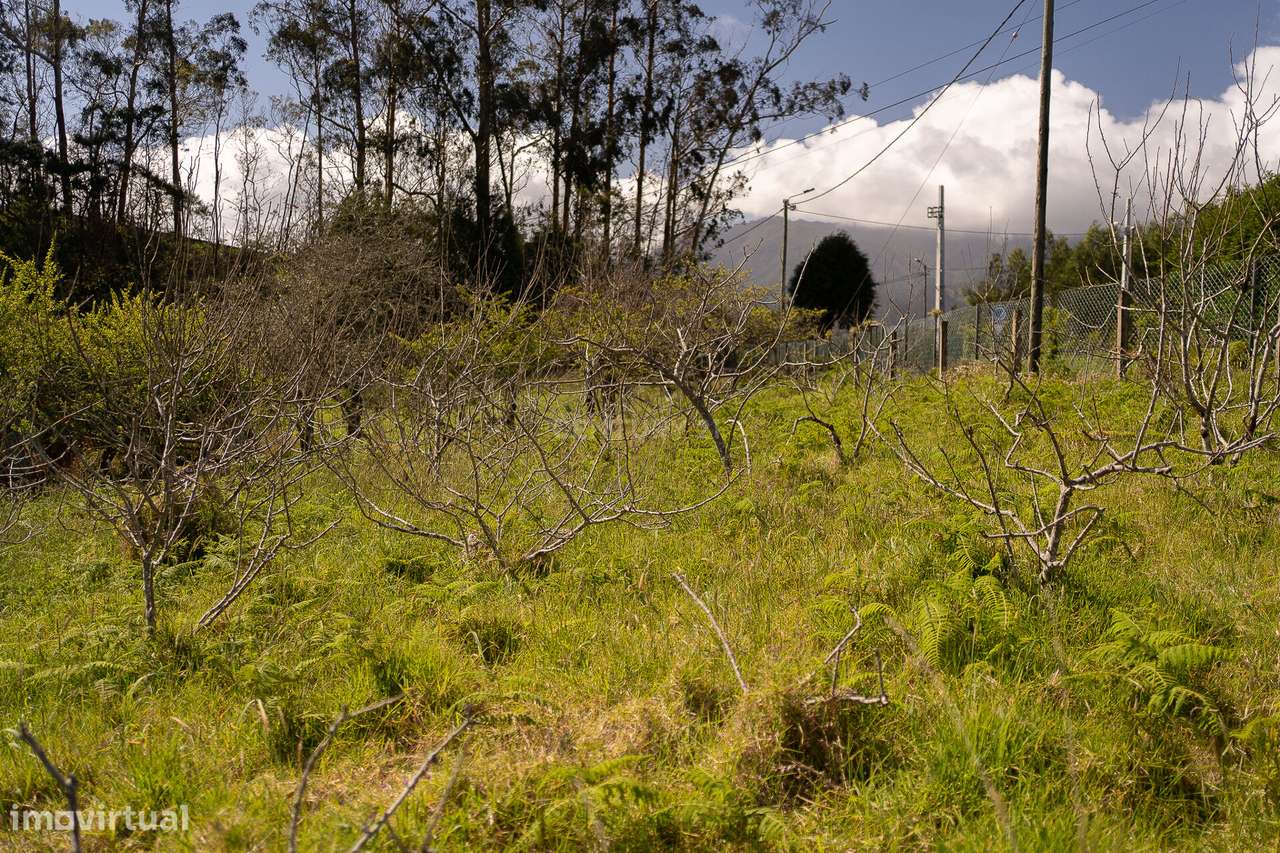 Terreno de 12.810 mts2 com Possibilidade de Construção em Santana, Mad - Grande imagem: 3/16