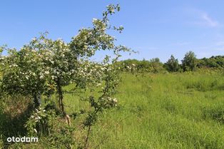 Działka  niedaleko Doliny Będkowskiej