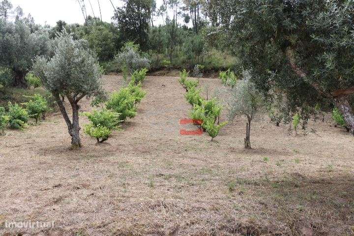 Terreno - Grande imagem: 4/6