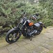 Harley-Davidson Softail - 7