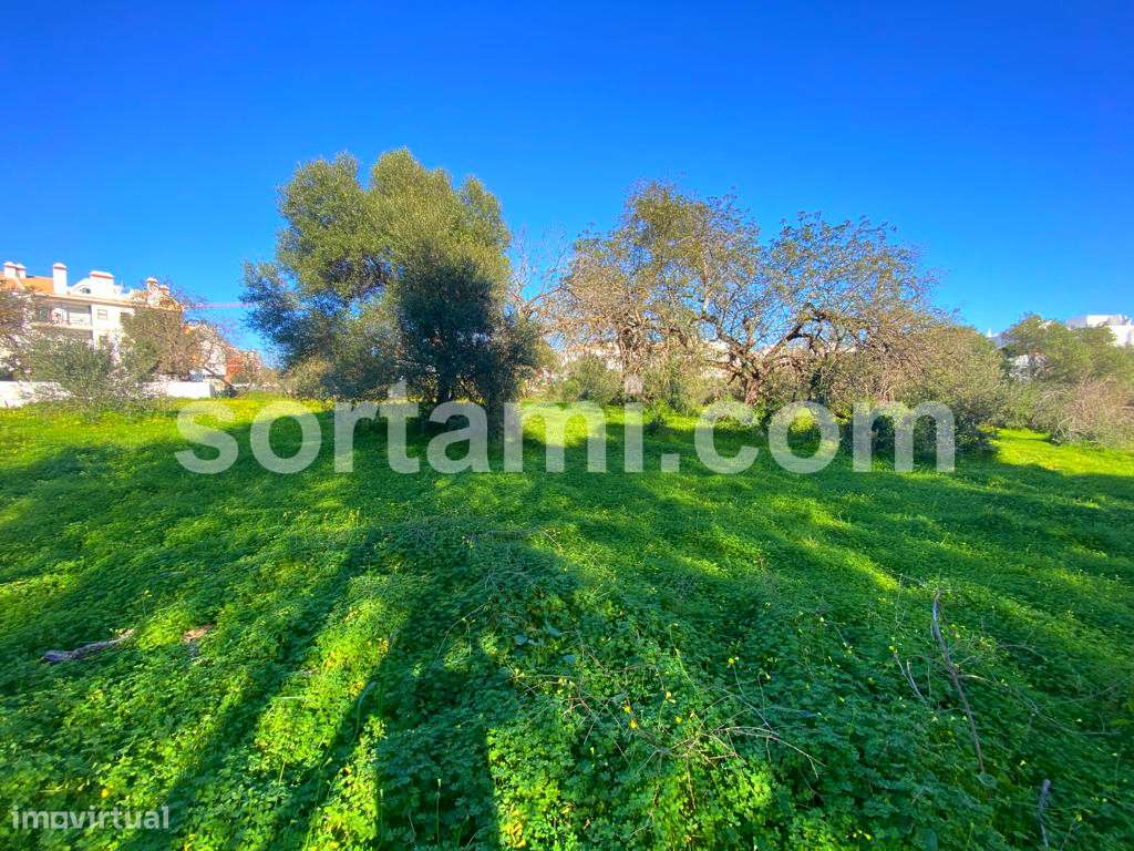 Terreno Rústico  Venda em Almancil,Loulé - Grande imagem: 2/4