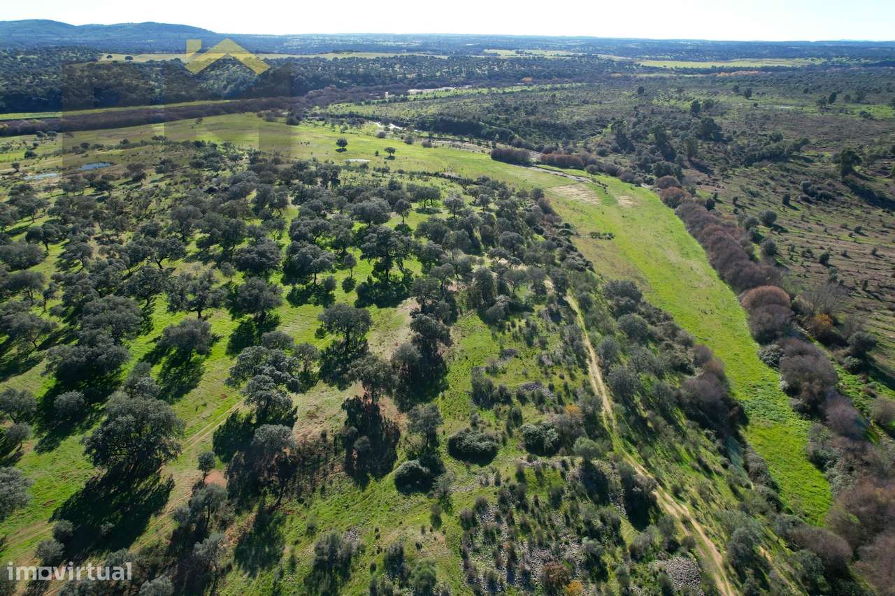 Quinta  Venda em Escalos de Baixo e Mata,Castelo Branco - Grande imagem: 4/33