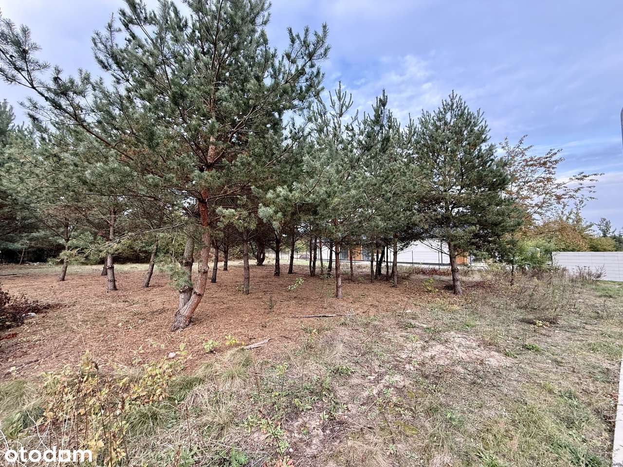 Działka w centrum Wieliszewa - Pełny obrazek: 4/9