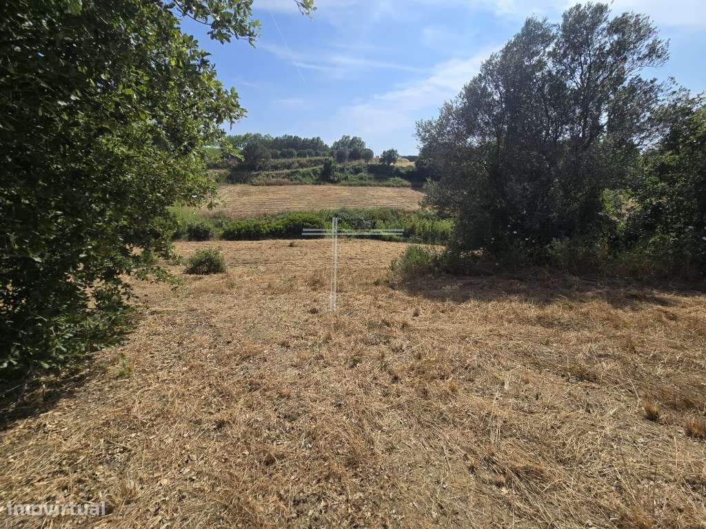 Terreno rústico com 11000m2 - Azeitão - Grande imagem: 4/14