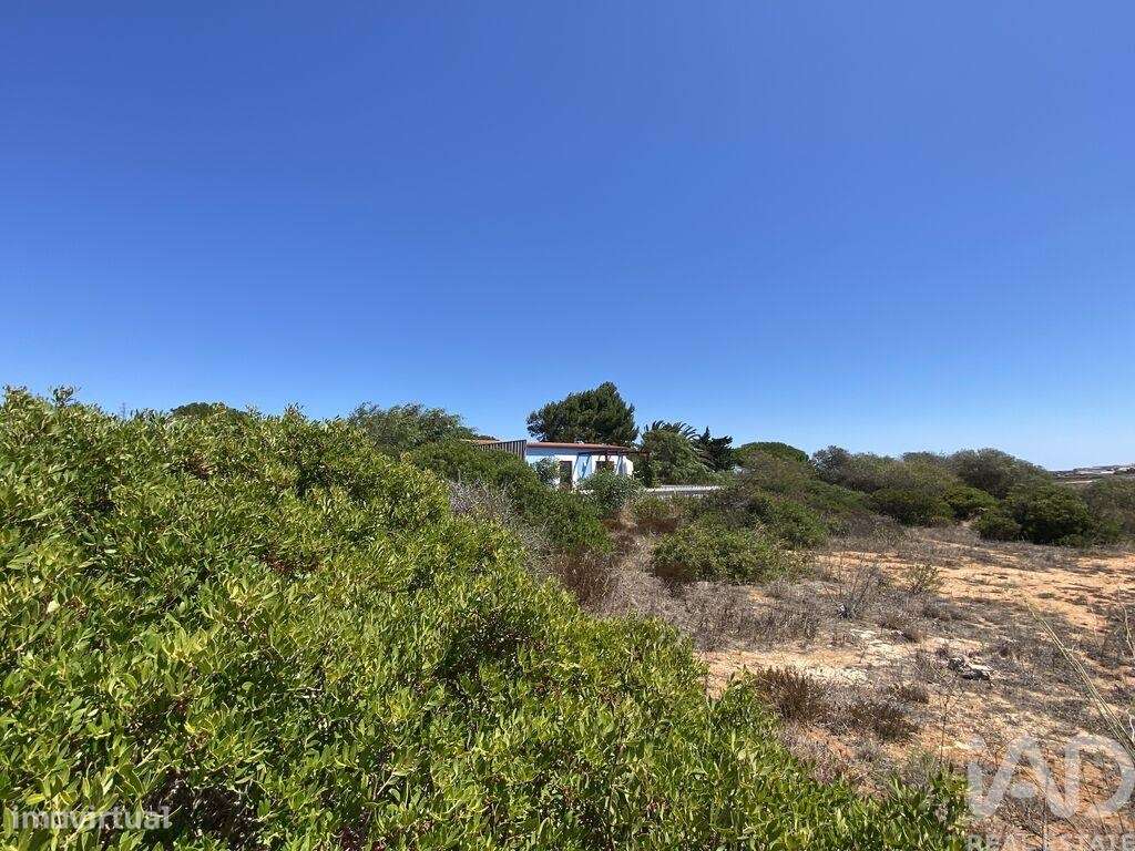 Terreno T1 em Sagres de 9440,00 m2 - Grande imagem: 3/16