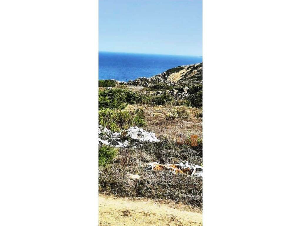 Terreno Rústico à Beira-Mar em Espinheiras Sintra - Grande imagem: 5/15