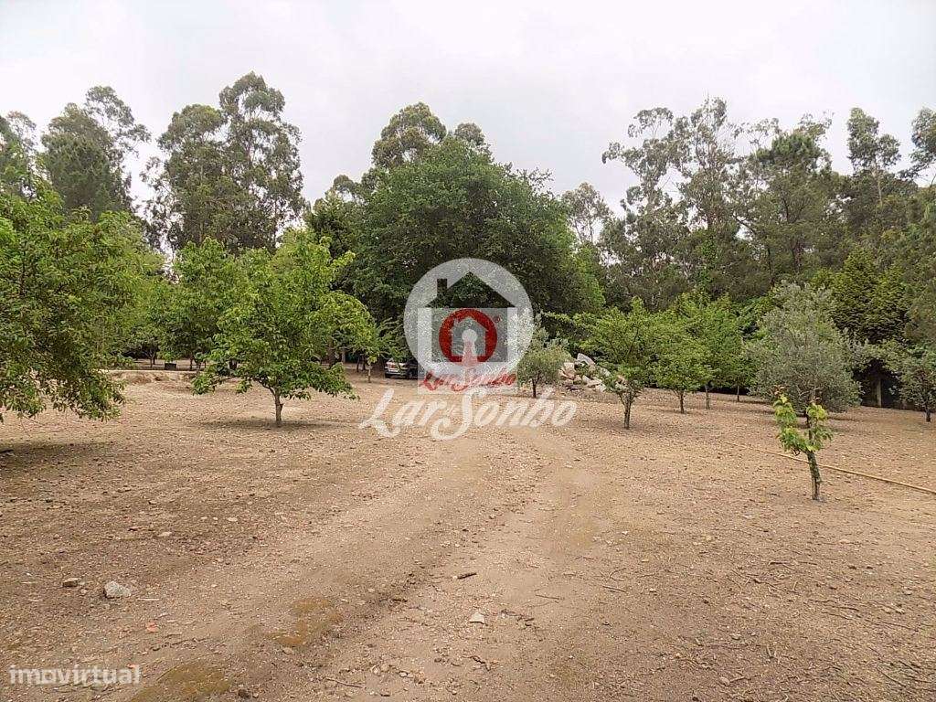 Quintinha com 9.200 m2 em Cruz - Grande imagem: 4/21