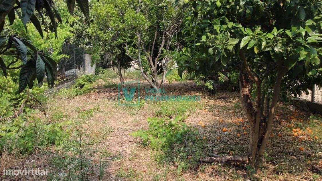 T2 em banda com garagem, jardim e terraço em Faro-17