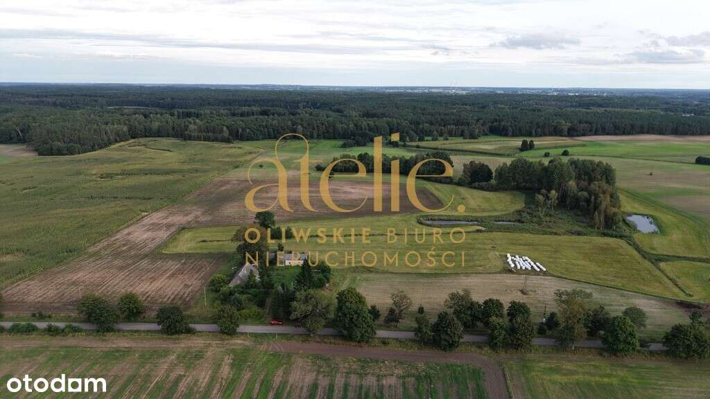 12 hektarów możliwości – Twoja oaza w sercu Kujaw! - Pełny obrazek: 4/6