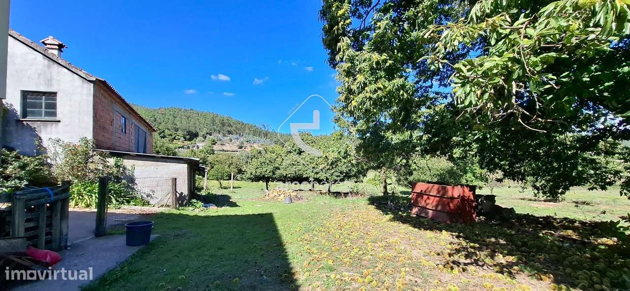 Quinta Agricola de 6Hect. c/casa T3 em Calvelo - Ponte de Lima-14