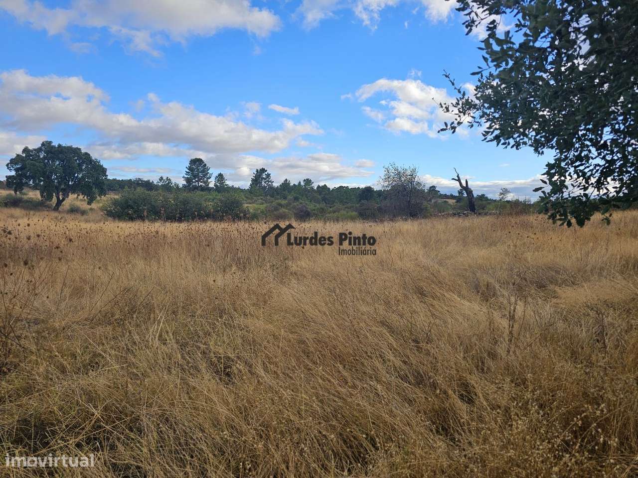 Quintinha com sobreiros-6