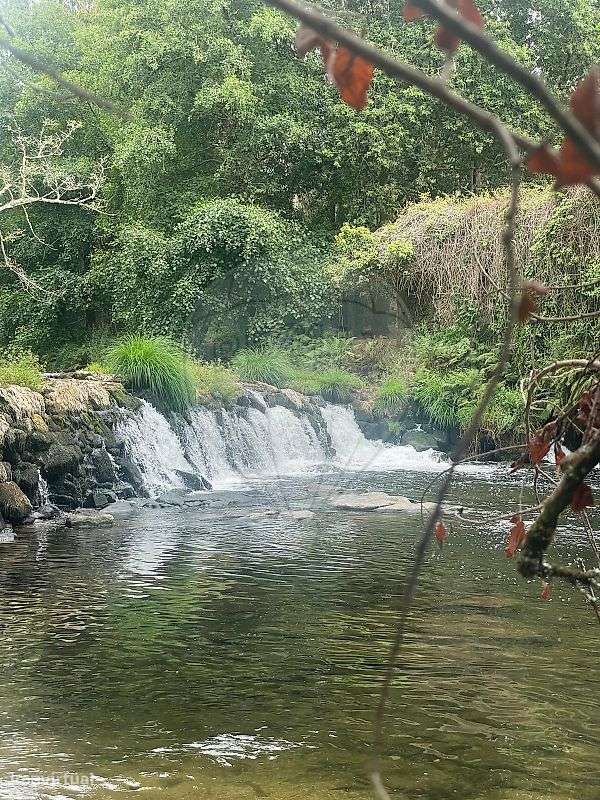 Terreno  para venda-9