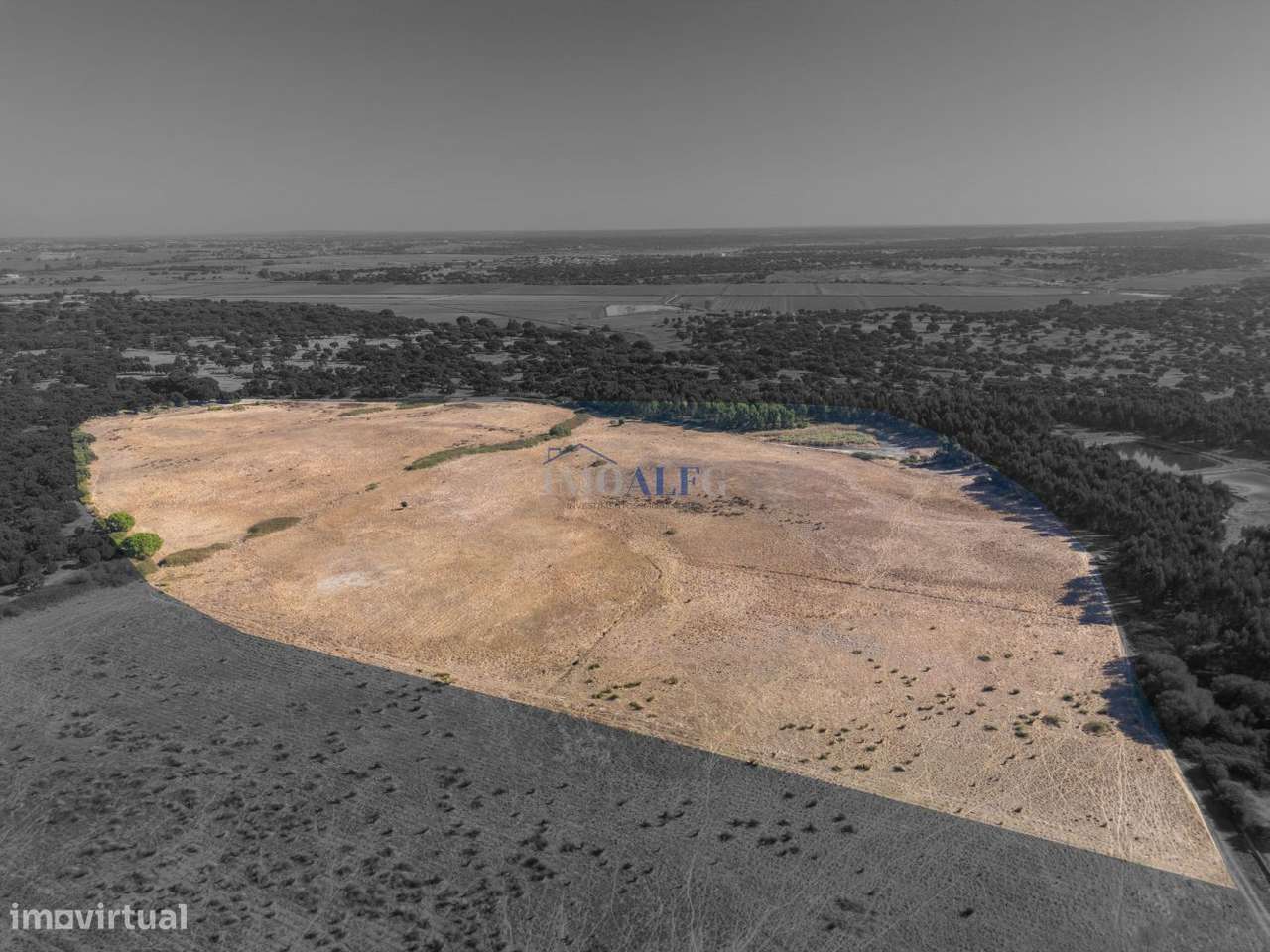 Terreno Industrial para venda em Benavente - Grande imagem: 5/13