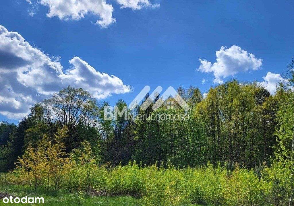 Owczarnia, Wkd 1,5 km-0