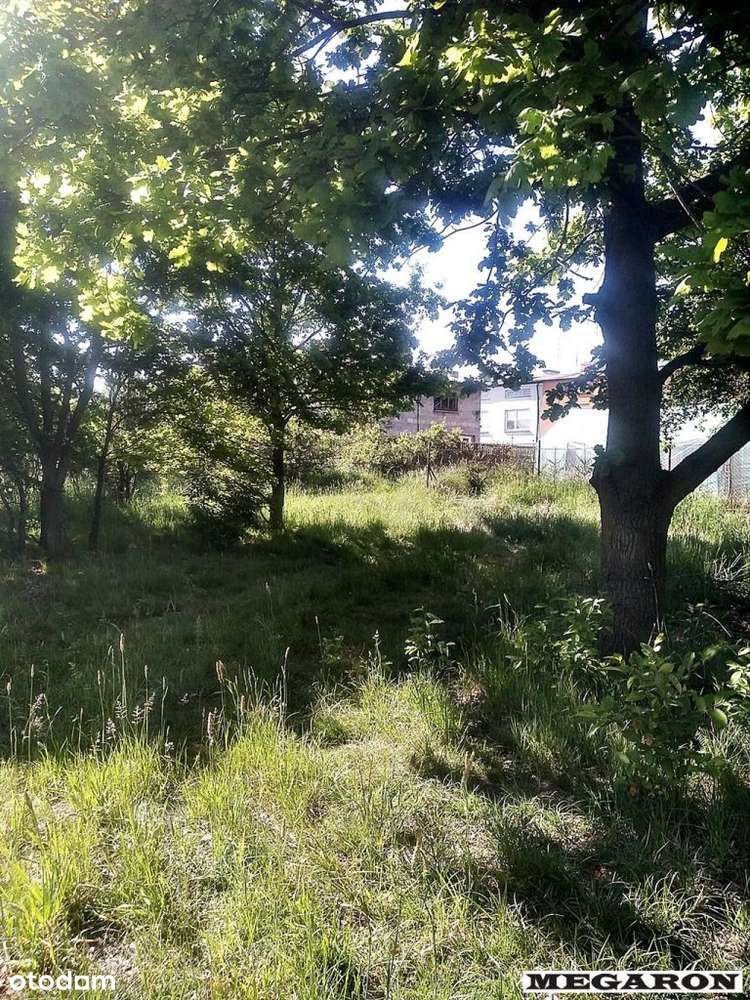 Duża działka budowlano-rolna- Nowa Cena ! - Pełny obrazek: 5/6