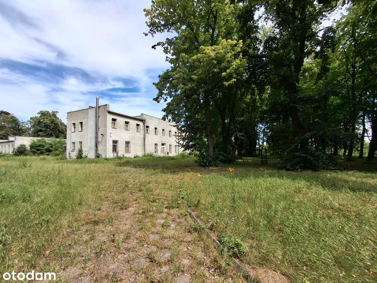 Unikalny budynek z zespołem parkowym - Pełny obrazek: 5/8