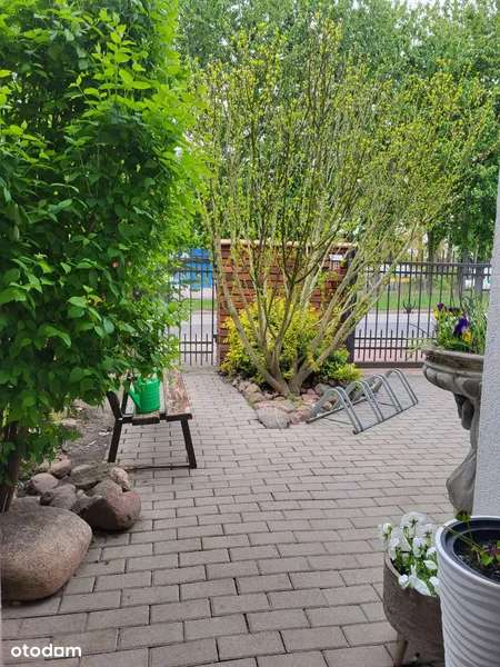 Mosina - dom w centrum miasta z częścią komercyjną-10