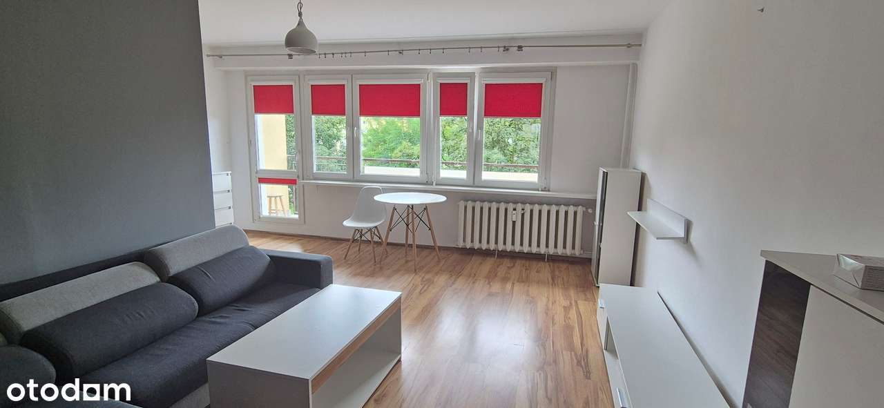 Wynajem/2 pokoje/Umeblowane/Południe - Pełny obrazek: 1/13