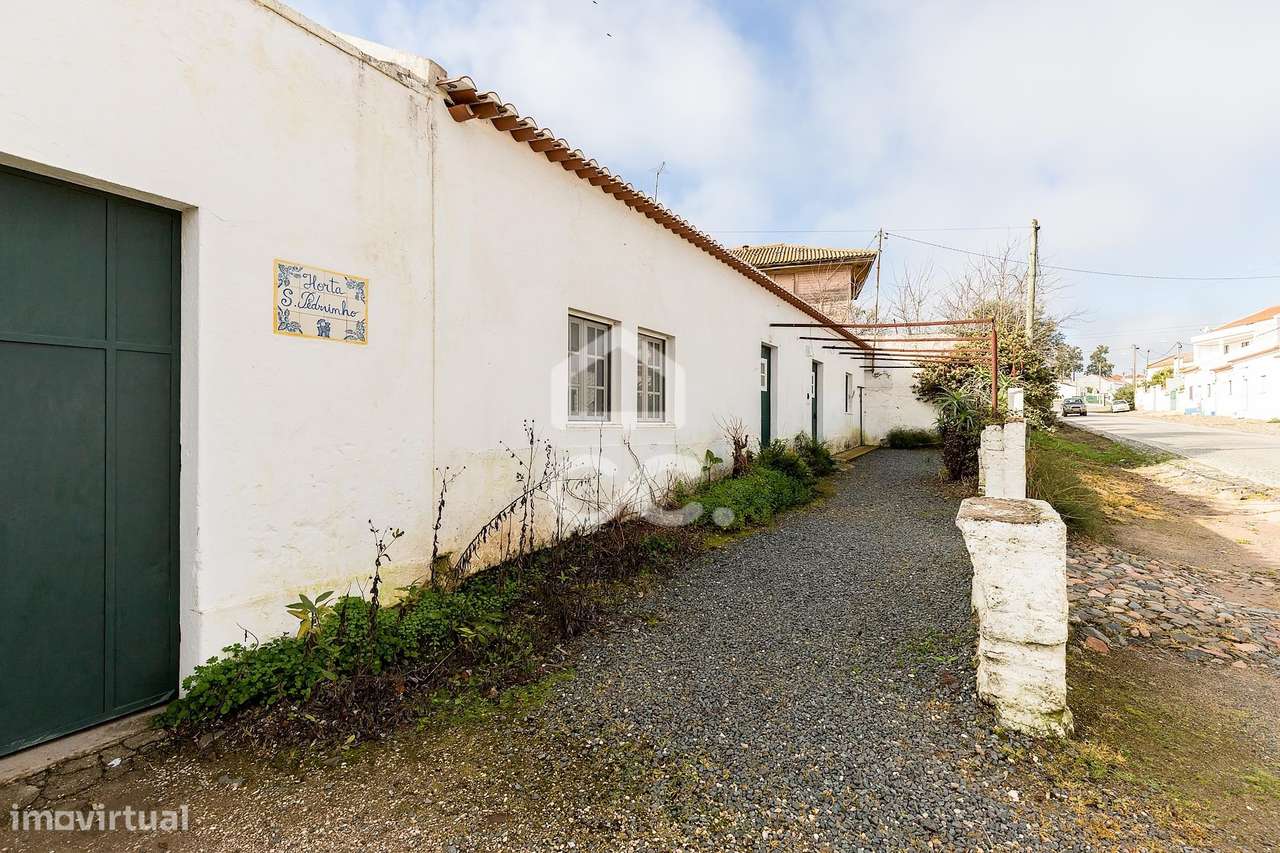 Quinta T5 de 0,9 ha com Moradias e Anexos | Torrão, Alcácer do Sal-32