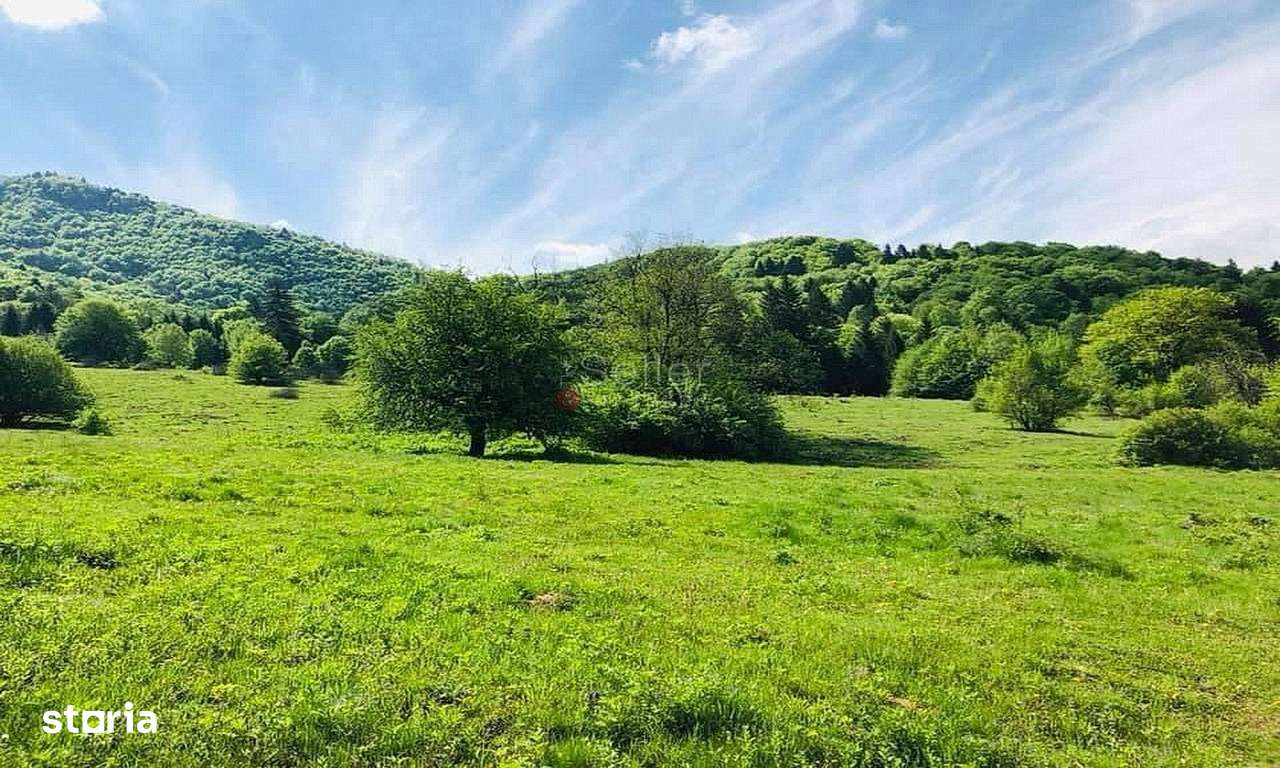 TEREN POTENTIAL TURISTIC - Rasnov - Cheisoara - Imagine principală: 2/6