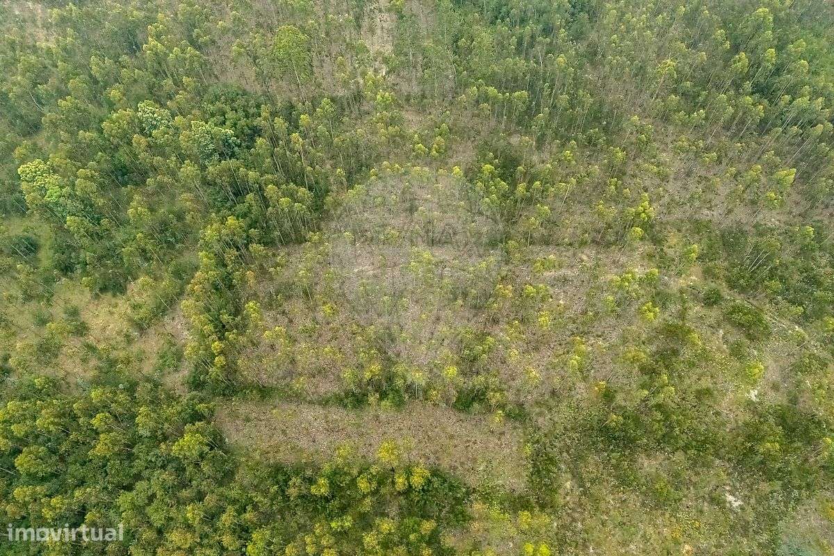 Terreno  para venda - Grande imagem: 3/4