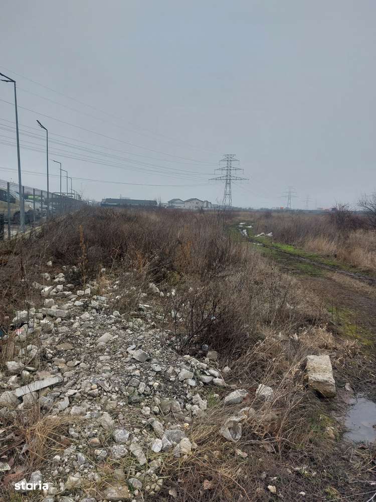 Clinceni - Olteni, Strada Fortului, Stradal-7