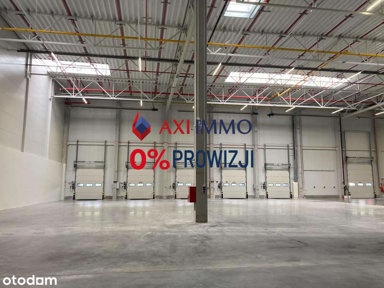 Hala 8 tys. mkw. lub więcej, Kraków Kokotów - Pełny obrazek: 1/3