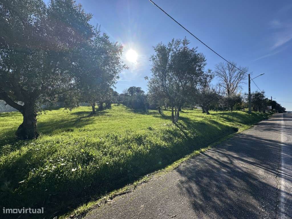 Terreno para construção urbana - Grande imagem: 2/21