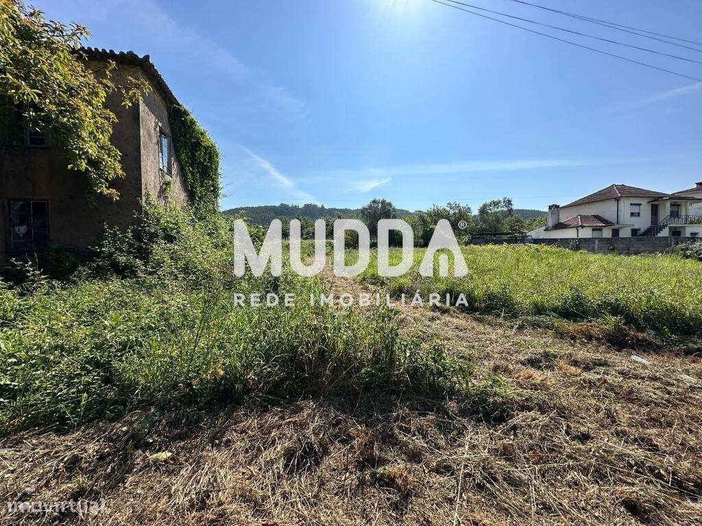 Ruína com terrenos, Branca, Albergaria-a-Velha - Grande imagem: 4/19