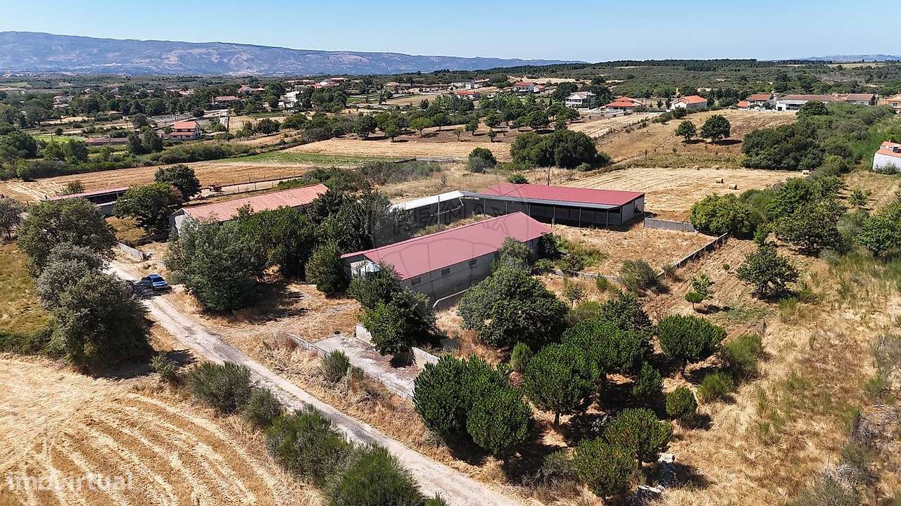 Armazém  para venda-12