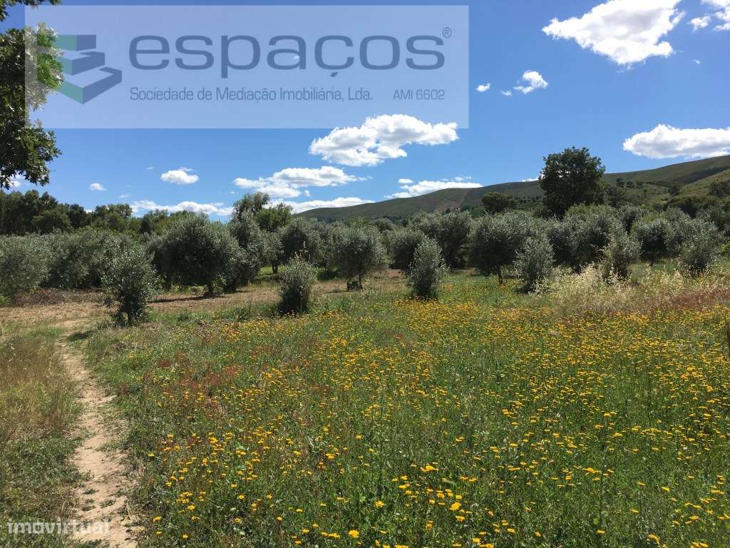 Quintinha para venda no Fundão - Grande imagem: 4/13