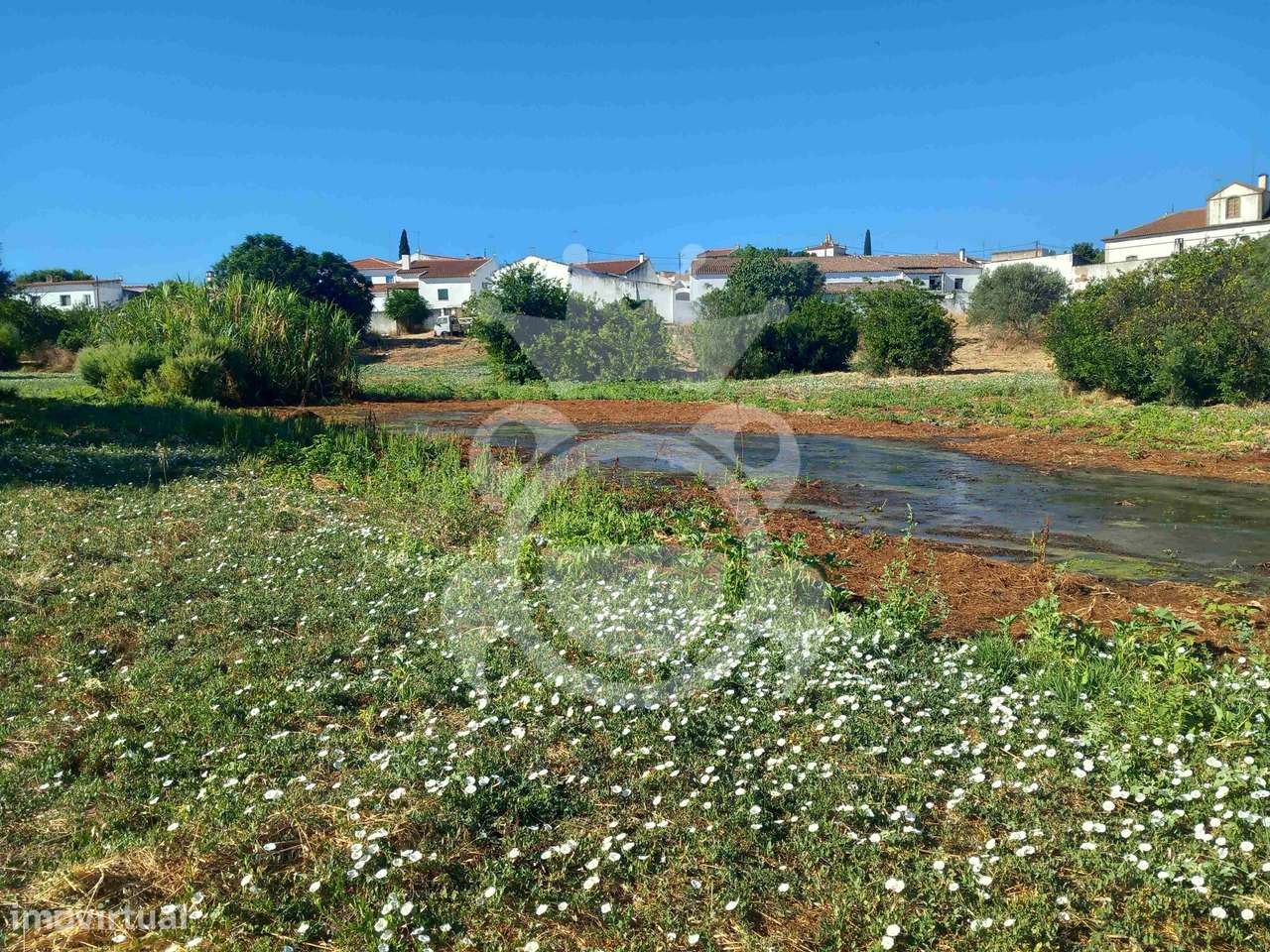 Moradia T4 com Terreno de 8.250m² - Serpa-27