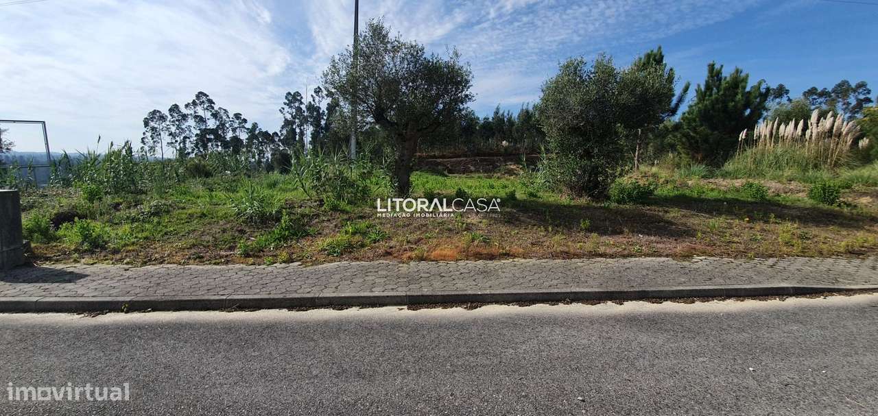 Lote Terreno para Moradia Isolada - Mamodeiro - Grande imagem: 5/12