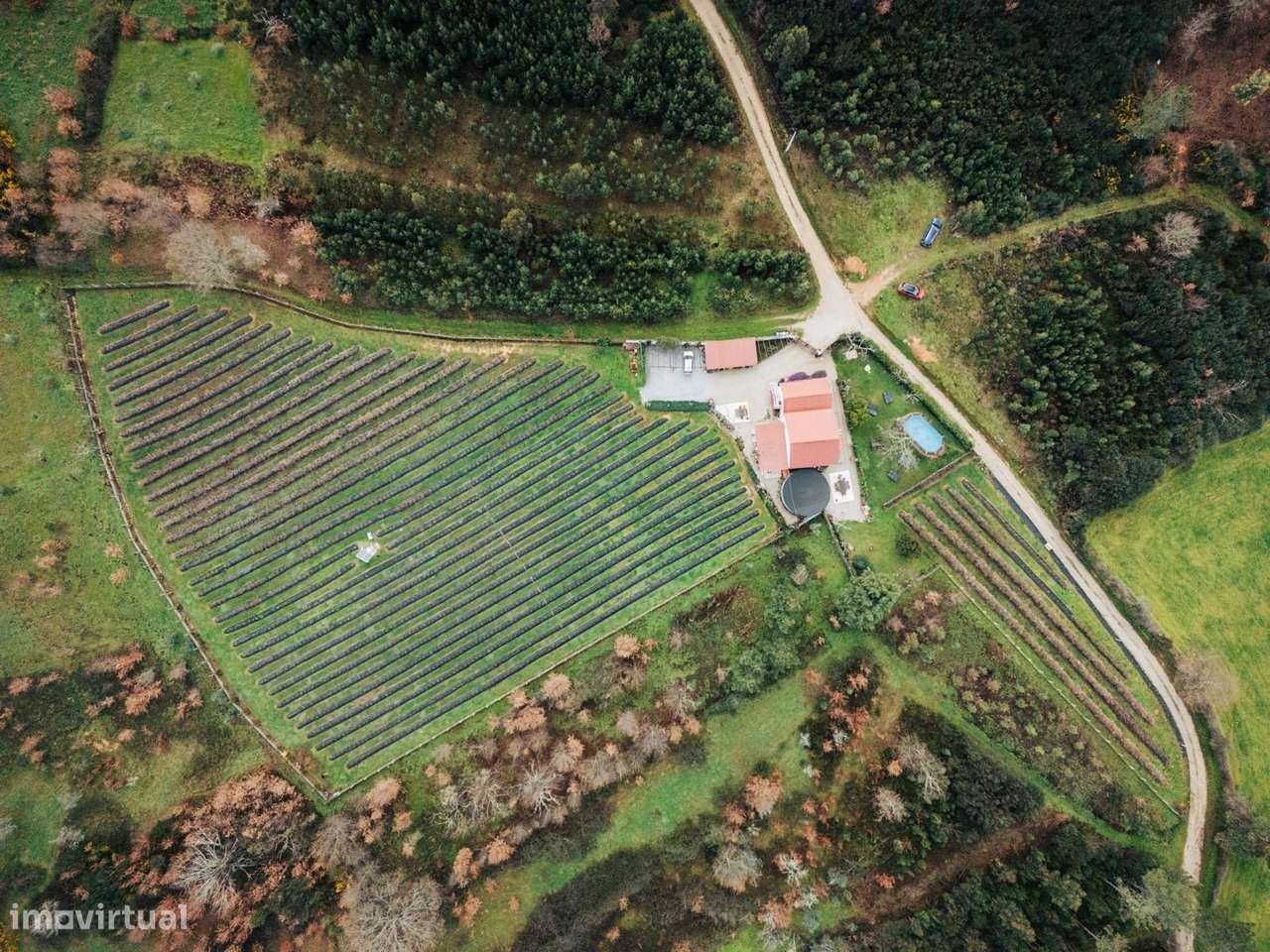 Quinta T4 Venda em Carragozela e Várzea de Meruge,Seia-31