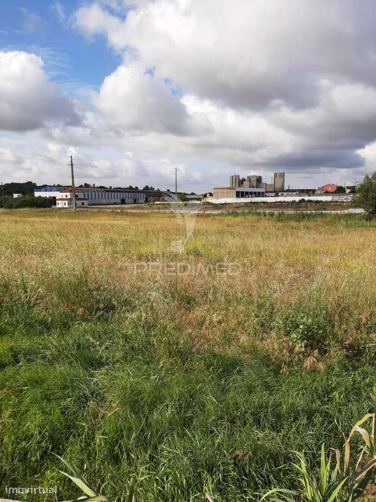 Terreno Misto Vila Chã de Ourique / Cartaxo - Grande imagem: 4/23