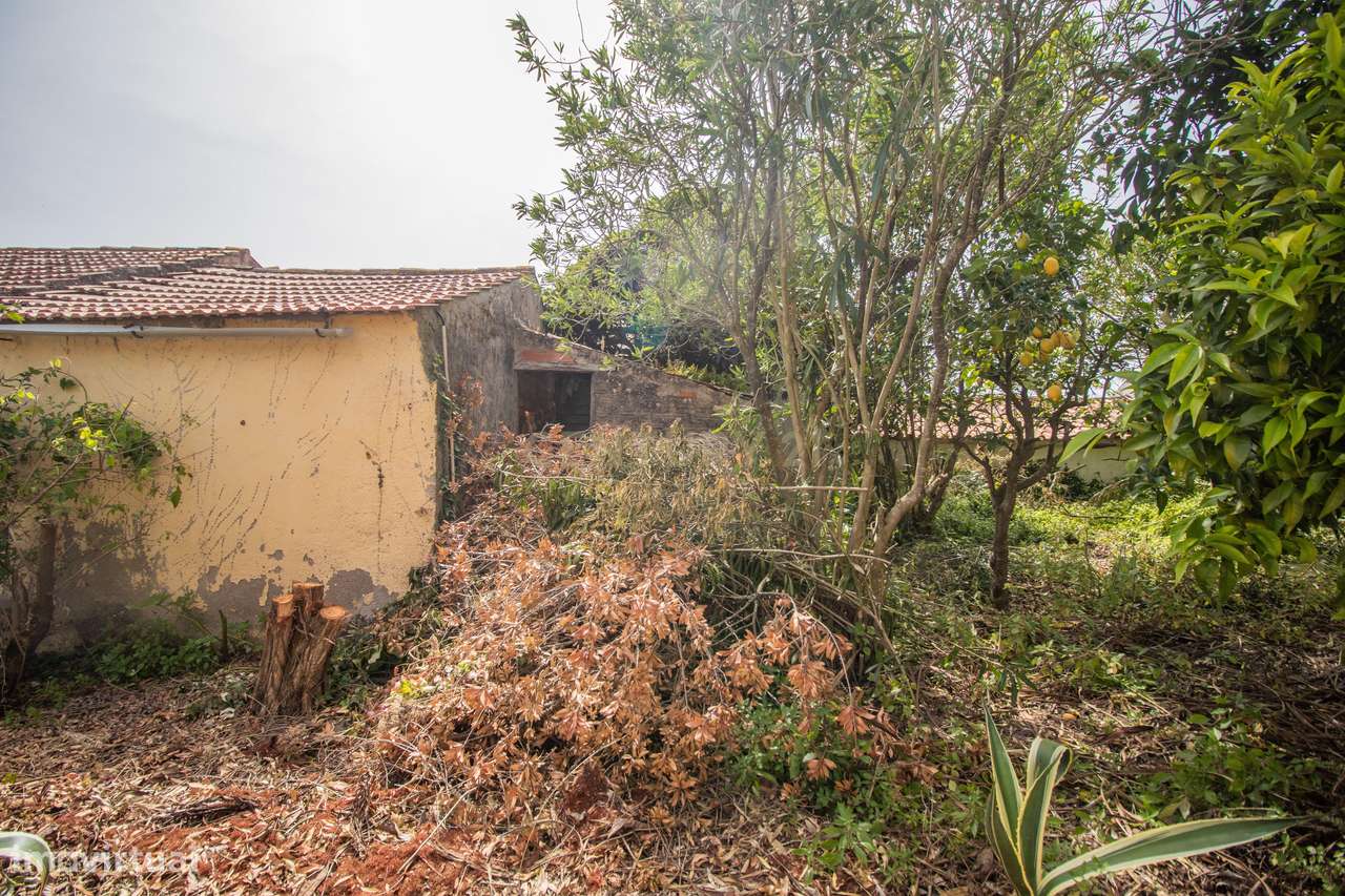Casa Antiga em Alfarelos, Soure-24