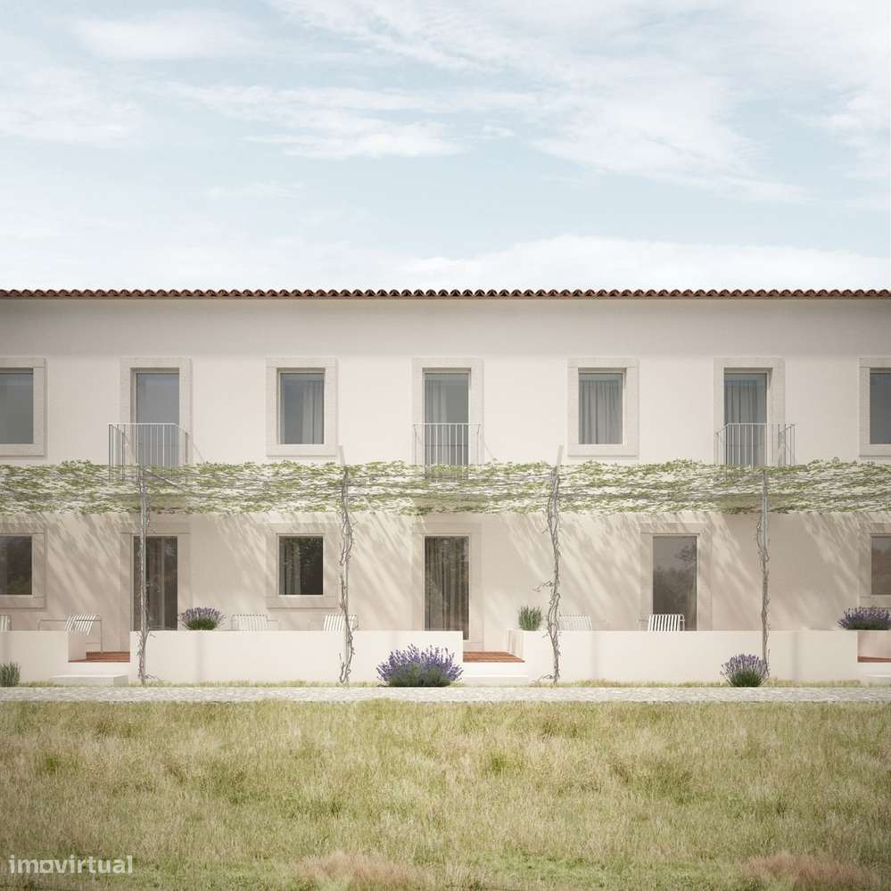 Quinta em Borba: projeto de enoturismo e vinha DOP, Alentejo-32