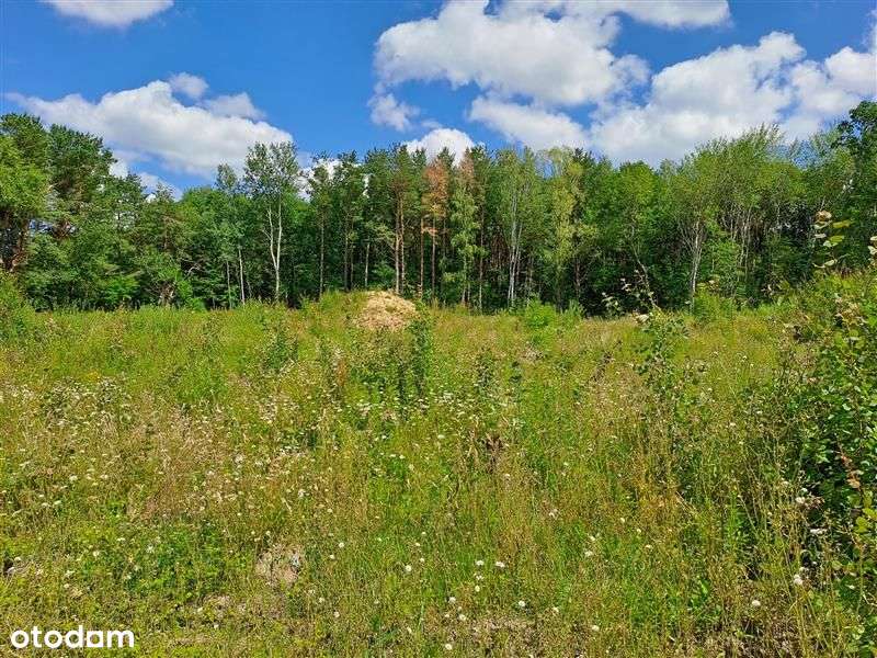 Działka przemysłowa na obrzeżach Słupska - Pełny obrazek: 5/5