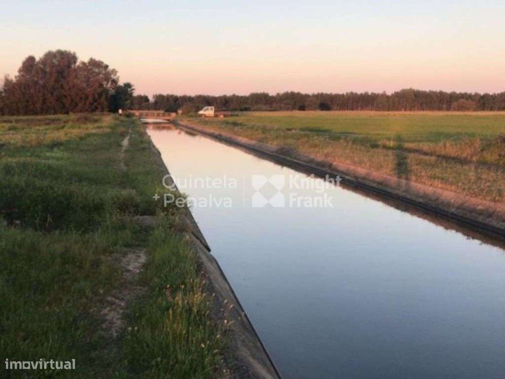 Herdade com 92 hectares, na Zambujeira do Mar - Grande imagem: 5/22