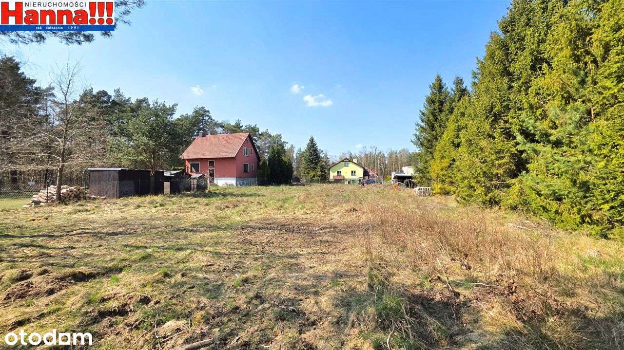 Duża płaska działka budowlana. Rębiechowo/Banino.-1