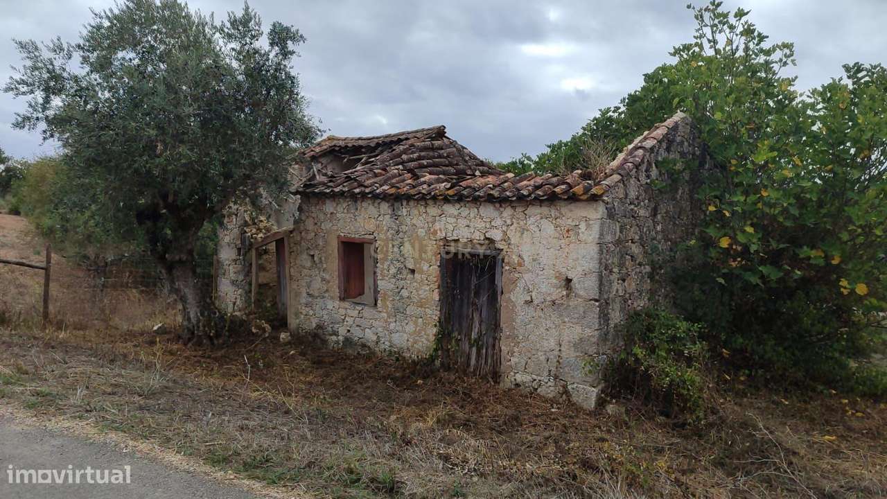 Casa de Campo em São Vicente do Paul, Santarém - Oportunidade Única-28