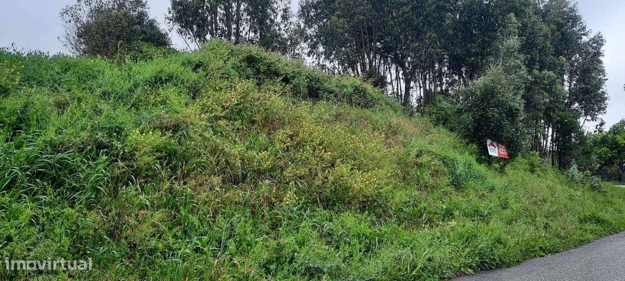 Terreno 1.200 m2 V. Nova de Barquinha -Santarém - Grande imagem: 5/9