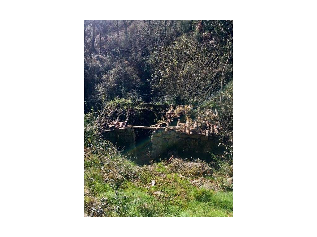 Moinhos Para Recuperar OPORTUNIDADE-7