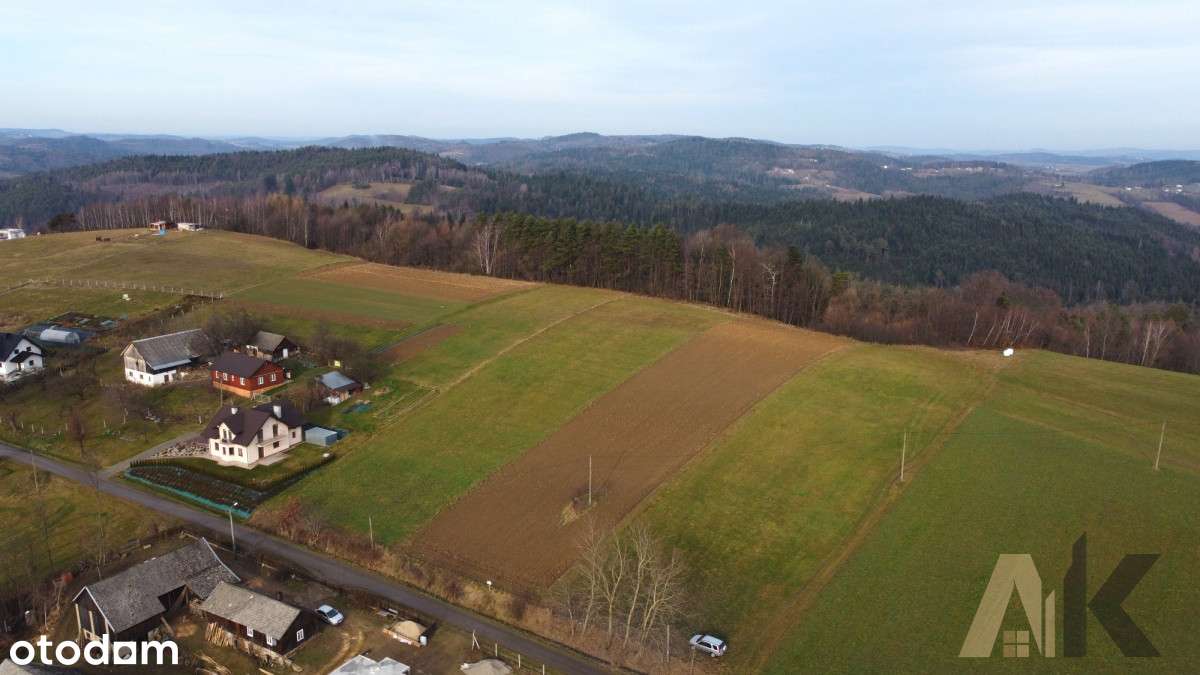 Działki budowlane - Bukowiec, gm. Korzenna - Pełny obrazek: 4/12