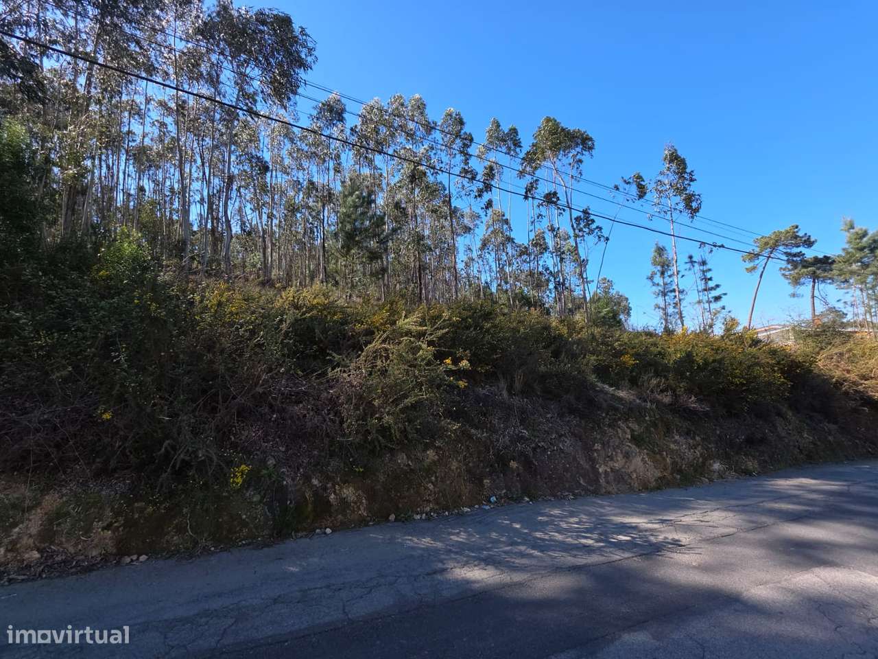 Terreno para construção em Sanguedo - Grande imagem: 4/6