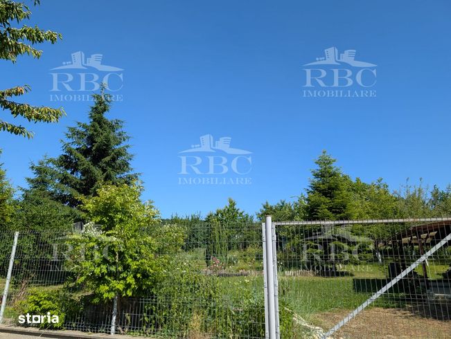 Teren pentru constructie casa in Faget-1